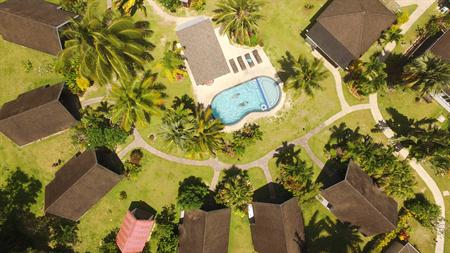 Palm Grove - Aerial View 