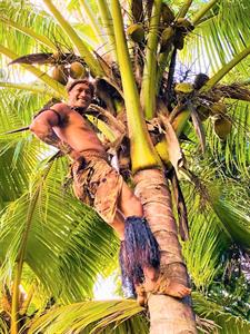 Tumutoa Tours - Coconut Tree Climbing